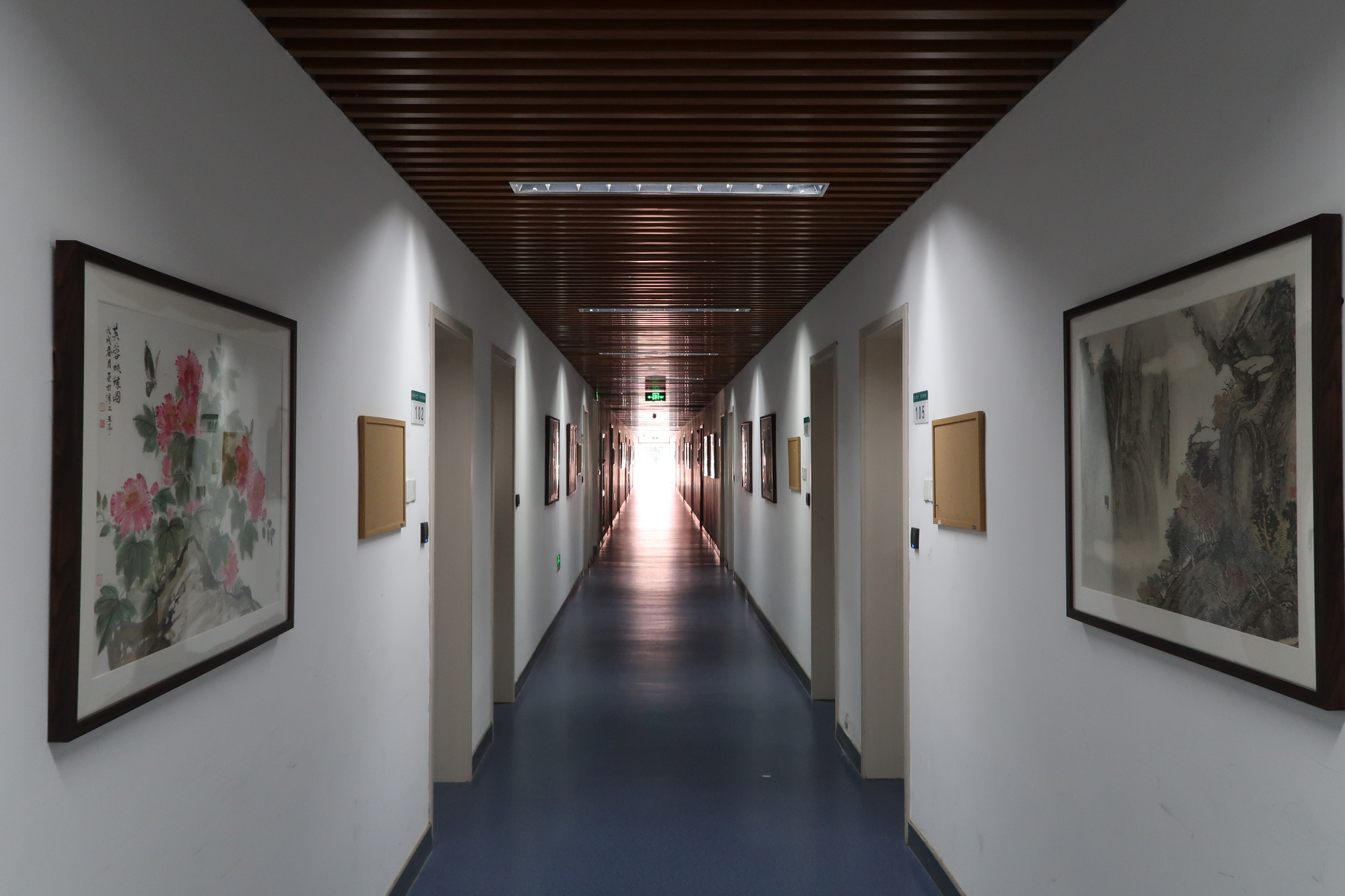 走廊布置的"诗意中国"书法,国画作品